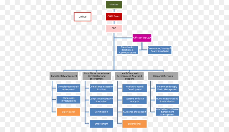 Organisation，Structure Organisationnelle PNG