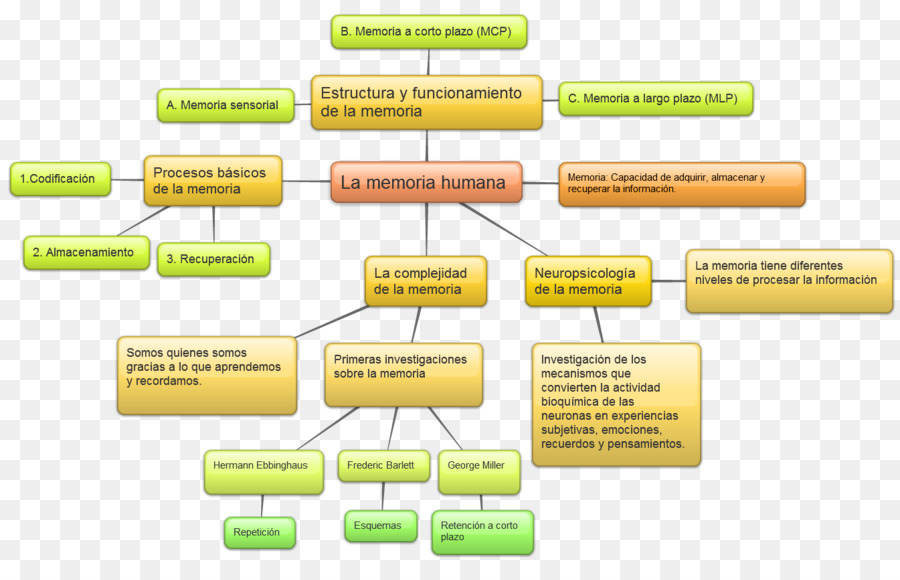 Organigramme，Processus PNG