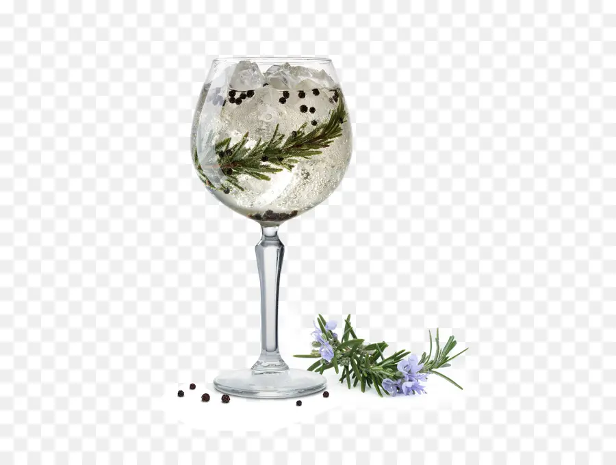 Le Gin Tonic，Verre à Vin PNG