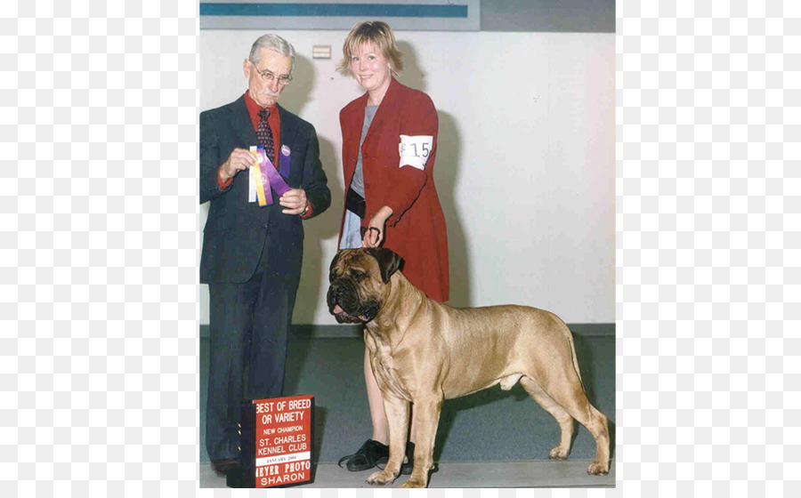 Race De Chien，Bullmastiff PNG