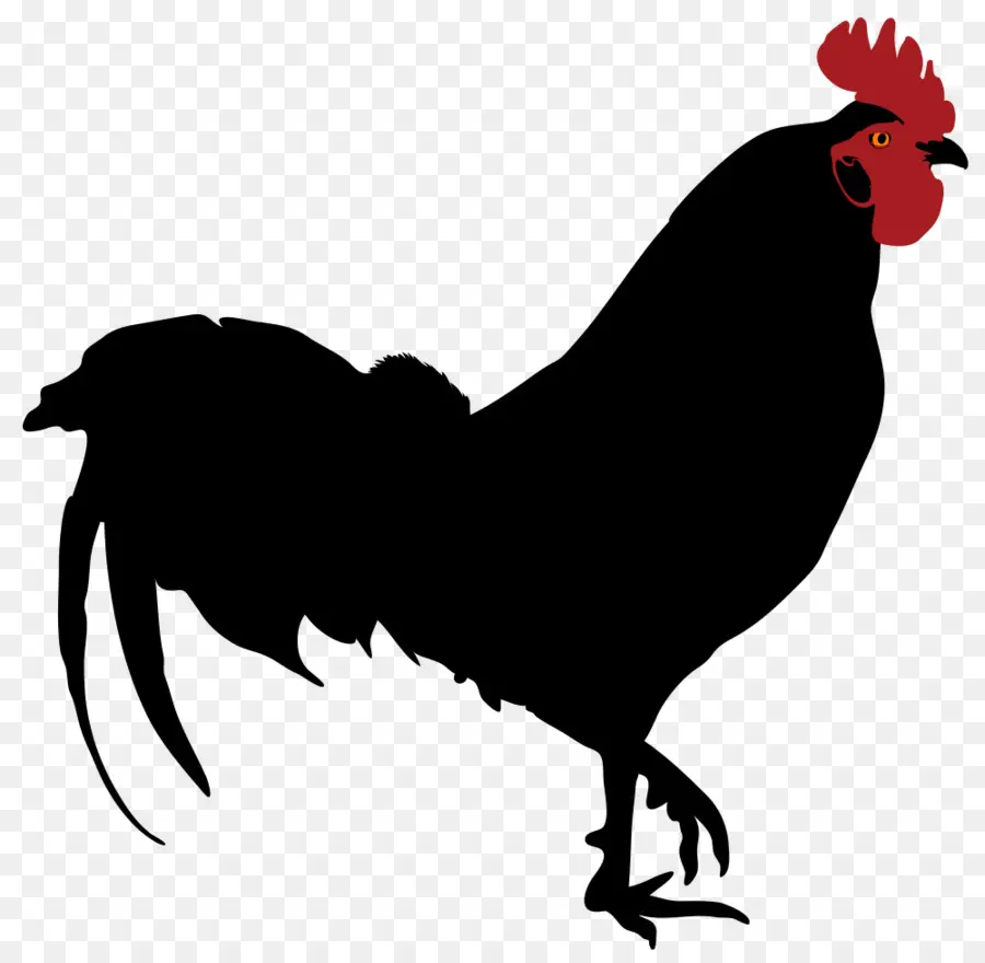 Silhouette De Poulet，Oiseau PNG