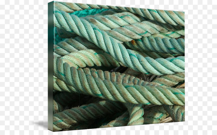 Corde，Turquoise PNG