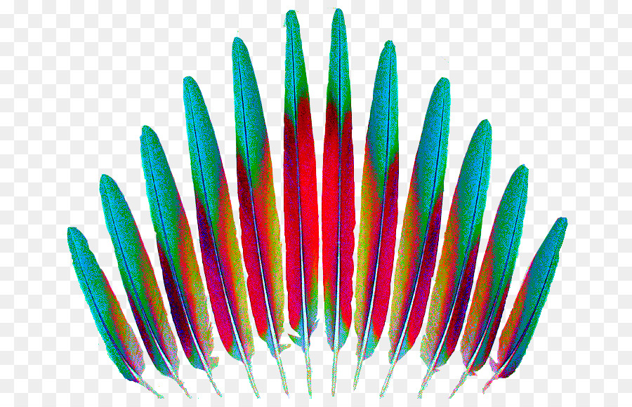 Plumes Colorées，Coloré PNG