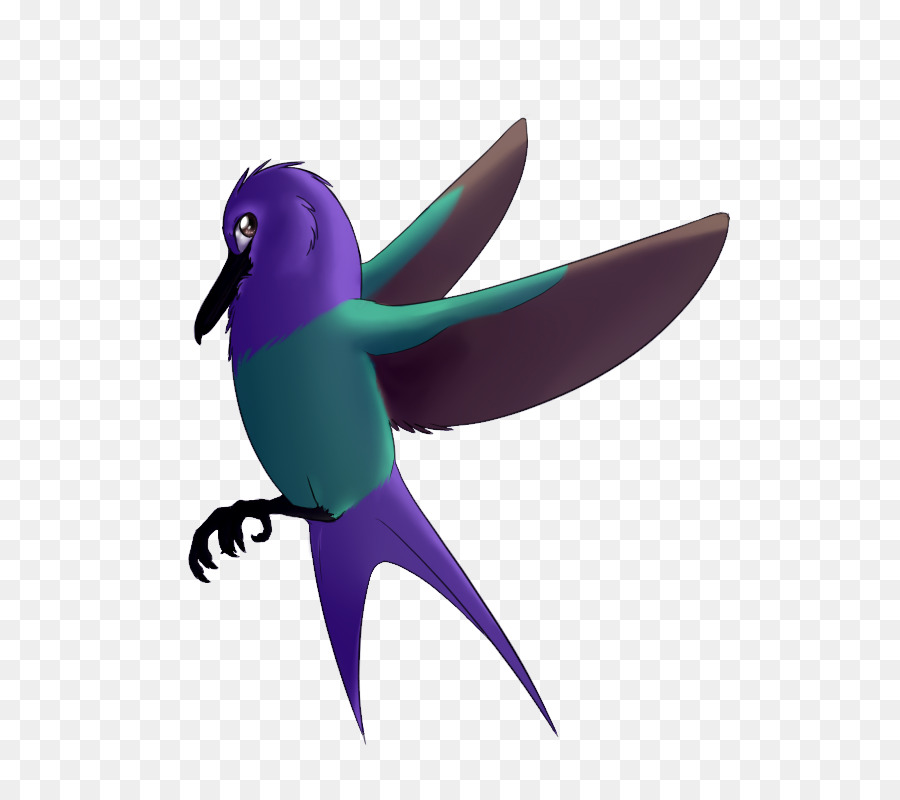 Colibri，Colibri M PNG