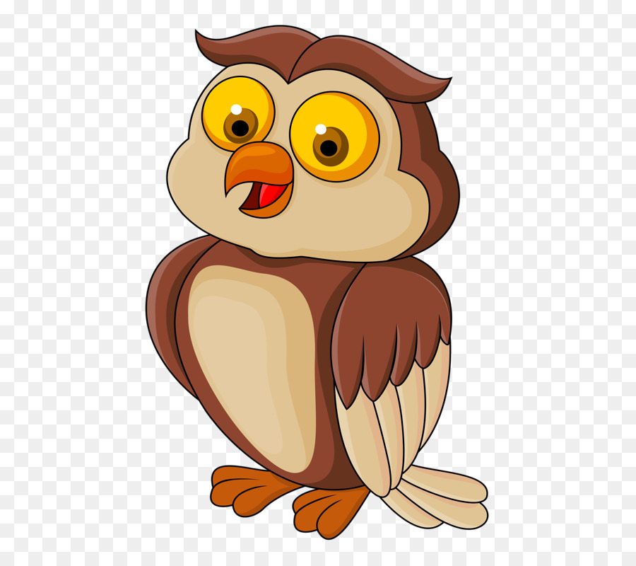 Chouette De Dessin Animé，Hibou PNG