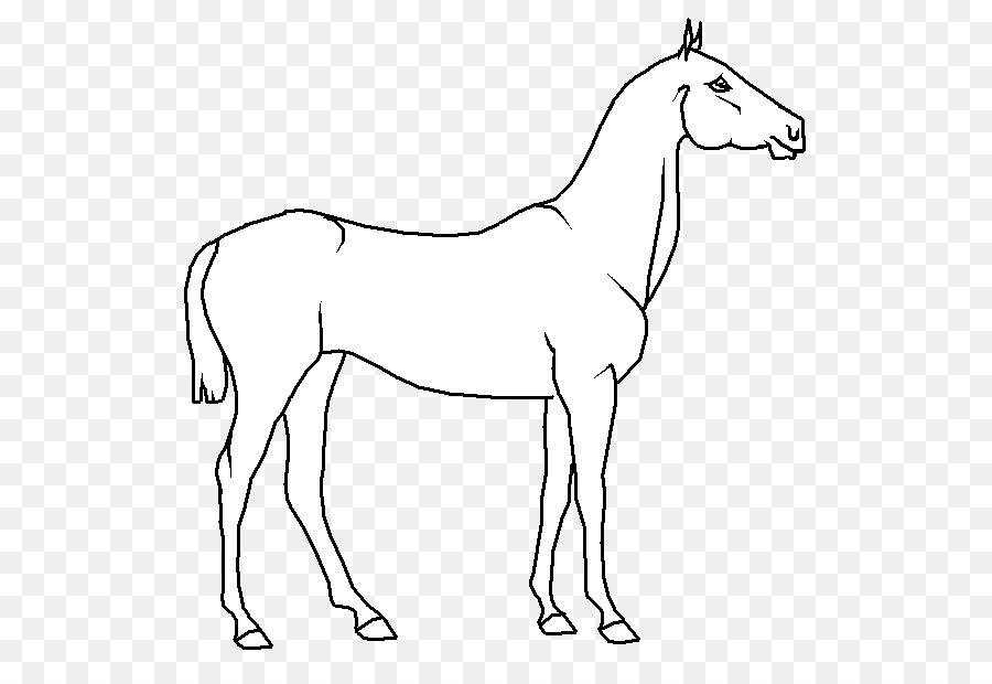 Dessin De Cheval，Animal PNG