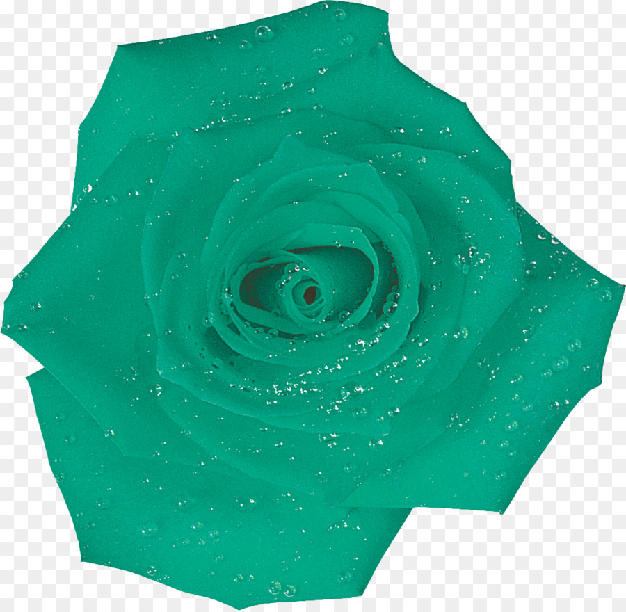 Rose Verte，Rose PNG