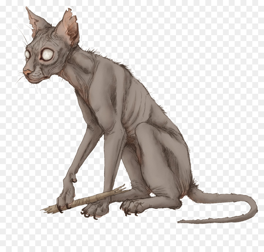 Peterbald，Les Moustaches PNG