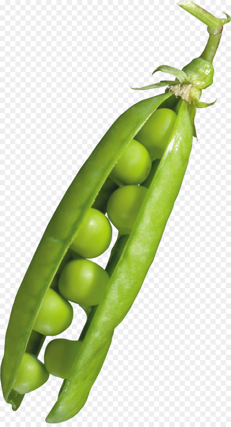 Gousse De Pois，Légume PNG