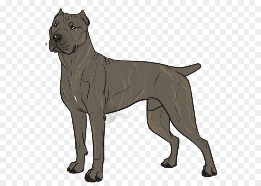 Chien，Animal De Compagnie PNG