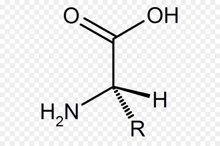 L Acide，L Acide Carboxylique PNG