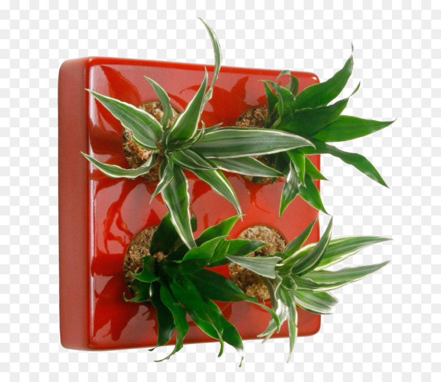 Mur，Flowerpot PNG