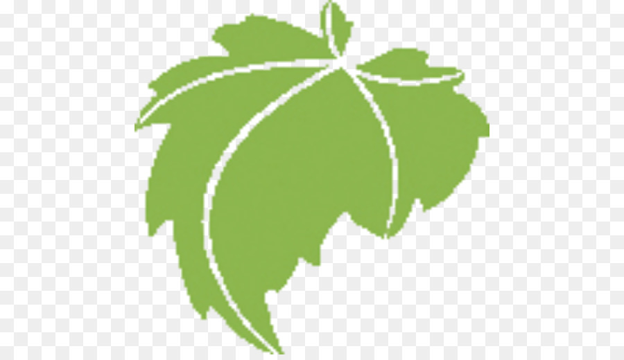 Vigne，Feuille PNG