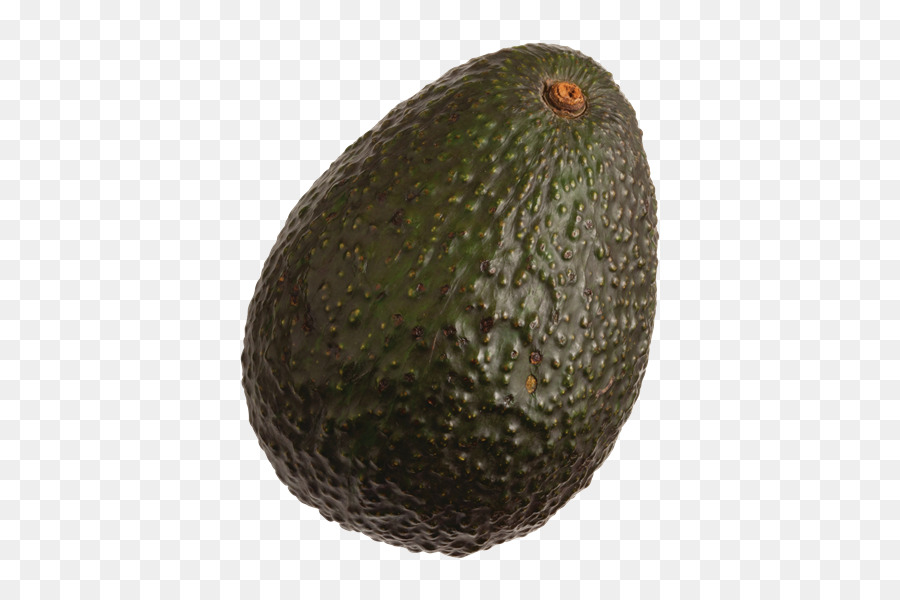 Avocat，Vert PNG