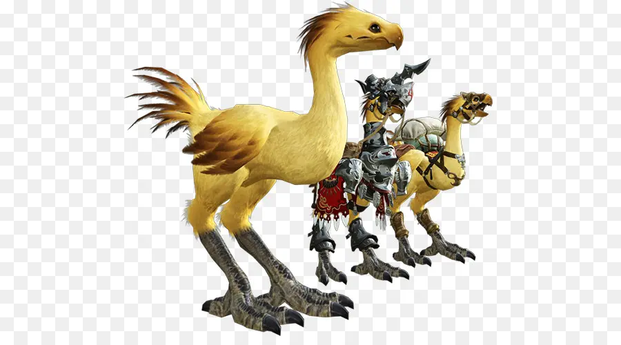 Final Fantasy Xiv，Chocobo PNG