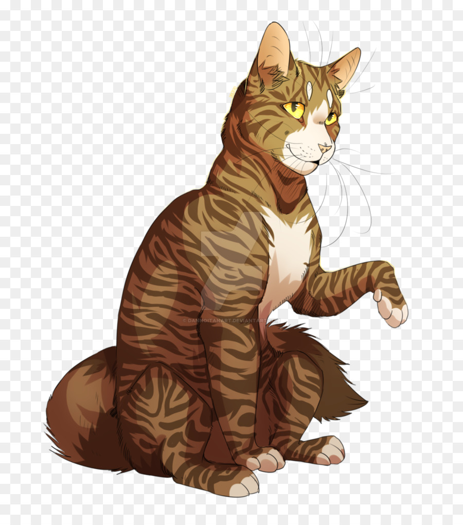 Chat Brun，Félin PNG