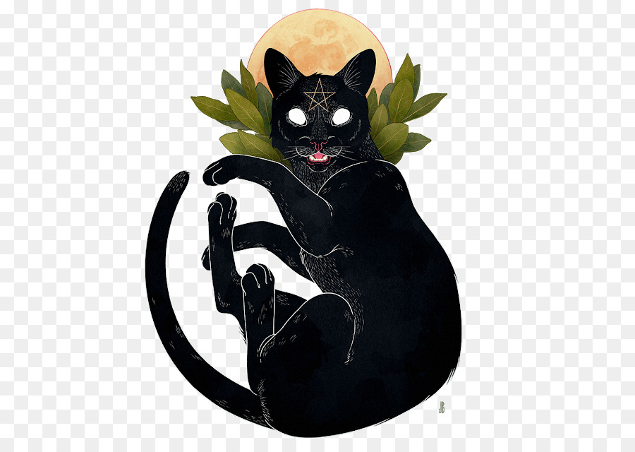 Chat Noir，Lune PNG