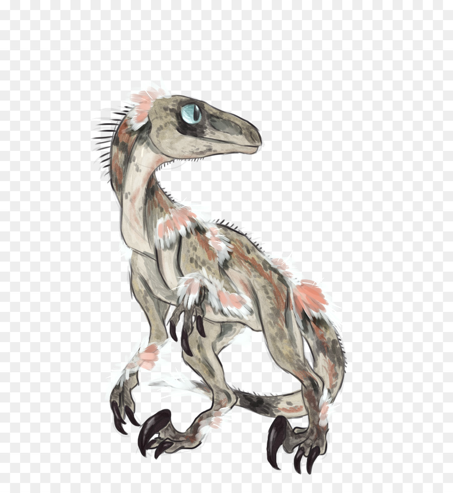 Velociraptor，Enfant PNG