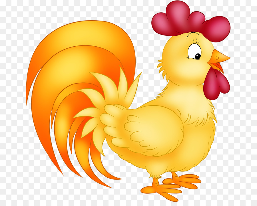 Coq De Dessin Animé，Poulet PNG