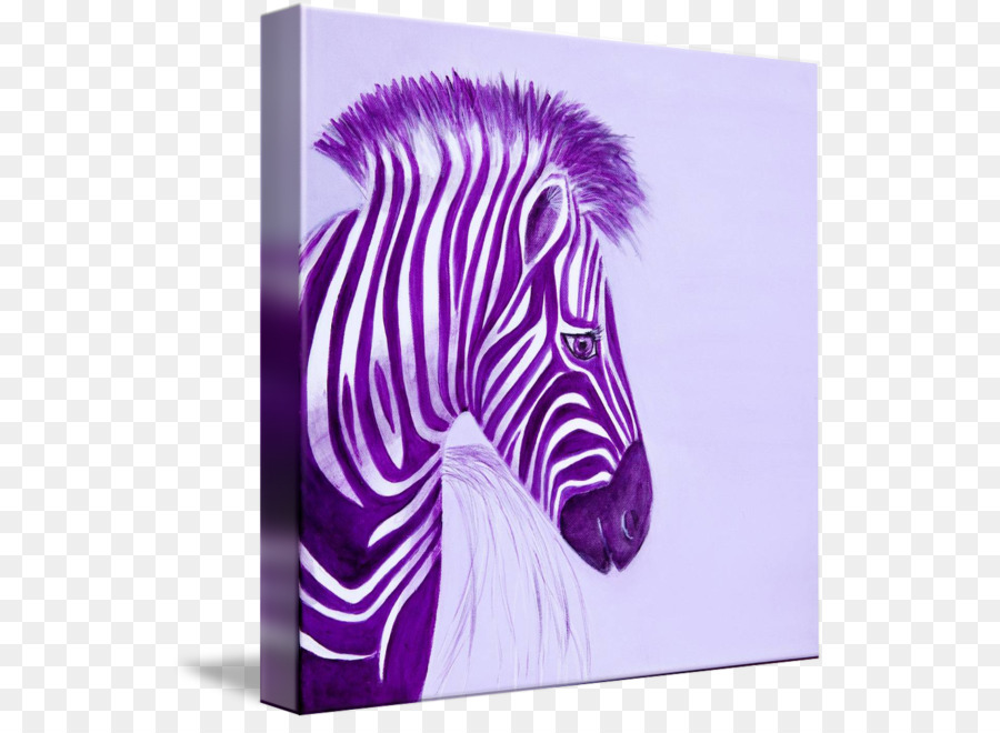 Quagga，Galerie De L écharpe PNG