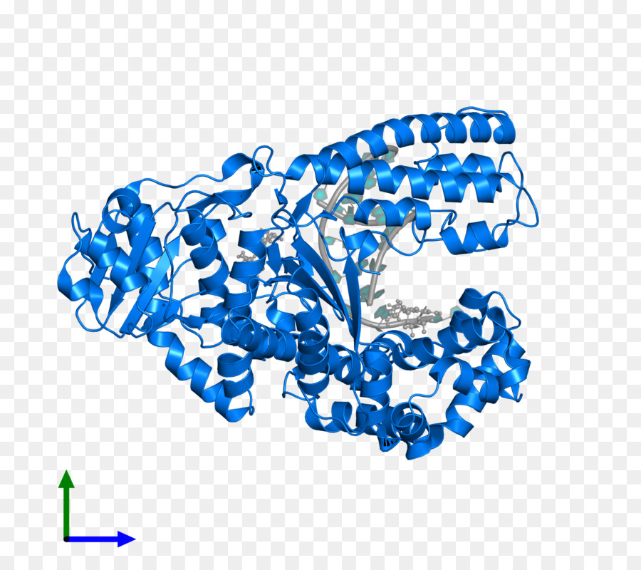 Ligne，Point PNG