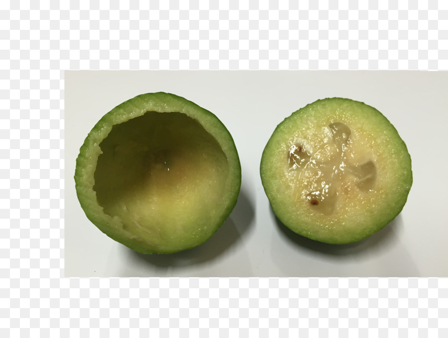 Kiwifruit，Superaliment PNG