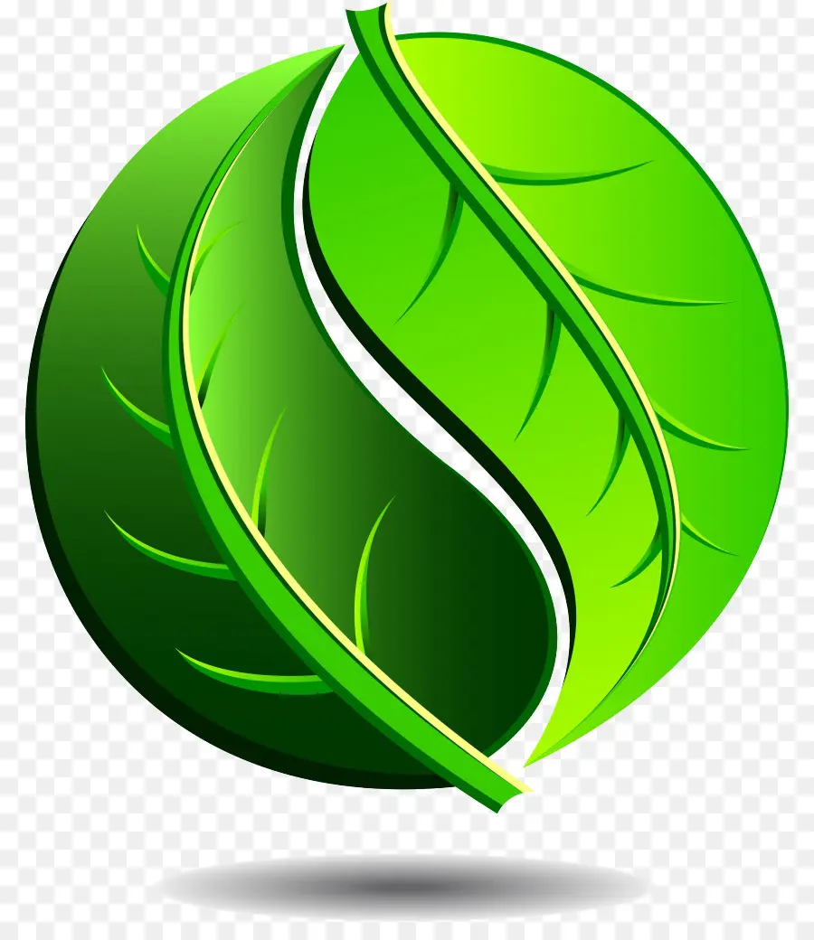 Feuille Verte，Usine PNG