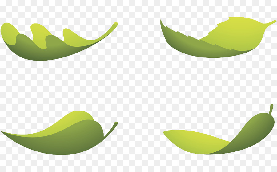 Feuille，Vert PNG