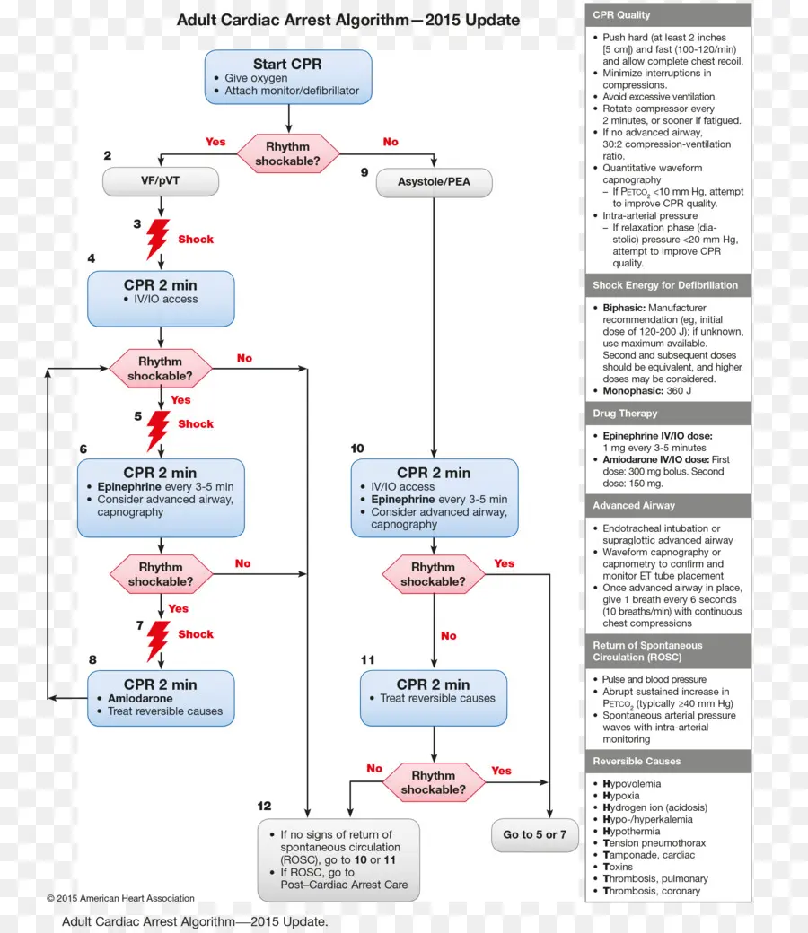 Algorithme De Rcp，Arrêt Cardiaque PNG