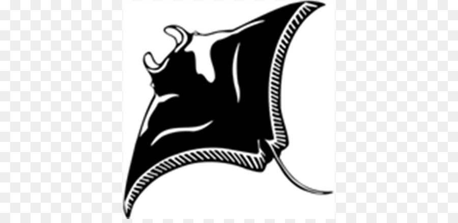 Le Géant De Raie Manta Océanique，Myliobatoidei PNG