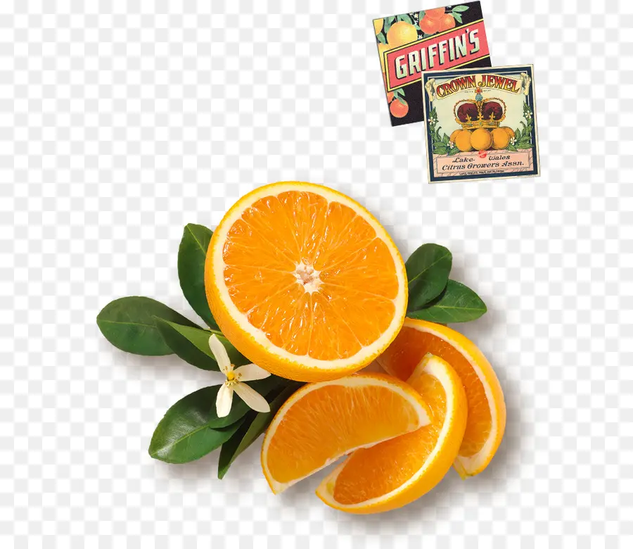 Tranches D'orange，Agrumes PNG