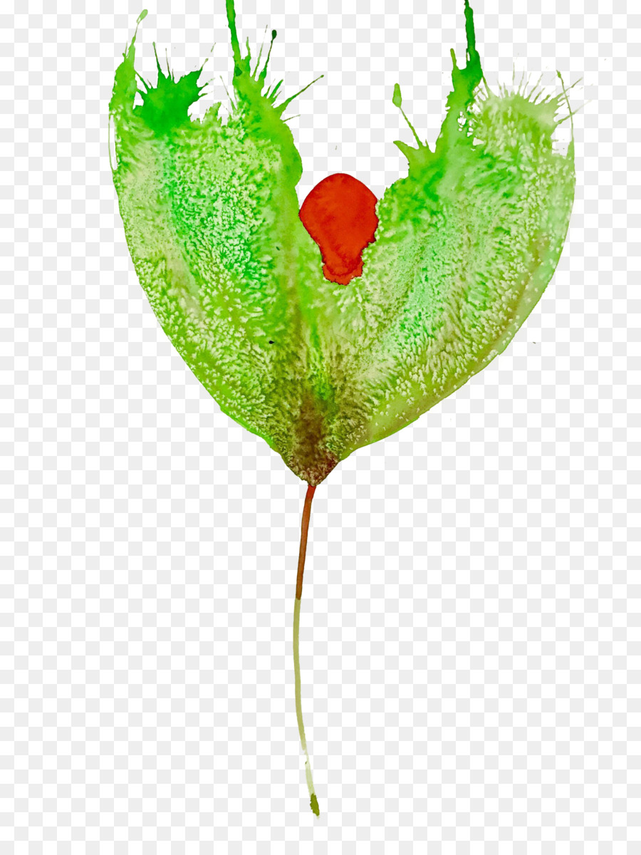 Feuille，Tige De La Plante PNG