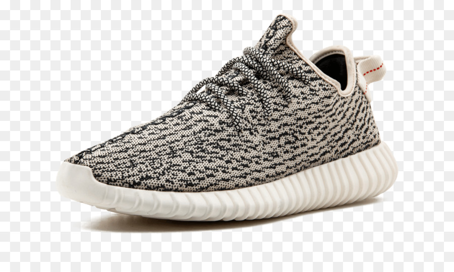 Columbidae，Adidas Yeezy PNG