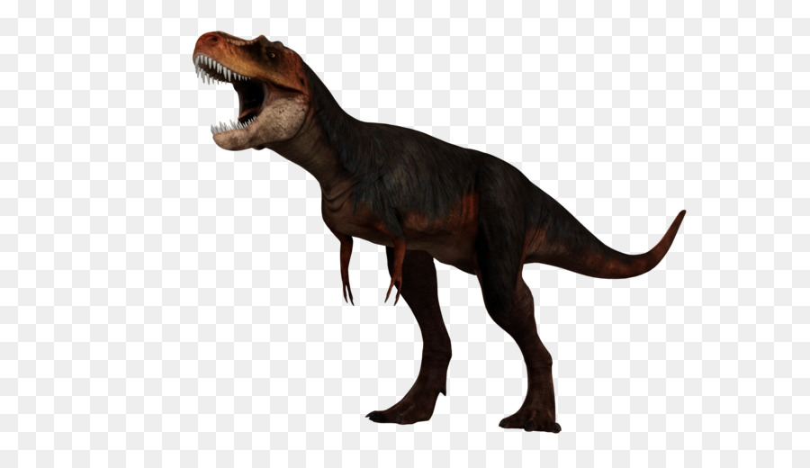 Tyrannosaure Rex，Préhistorique PNG