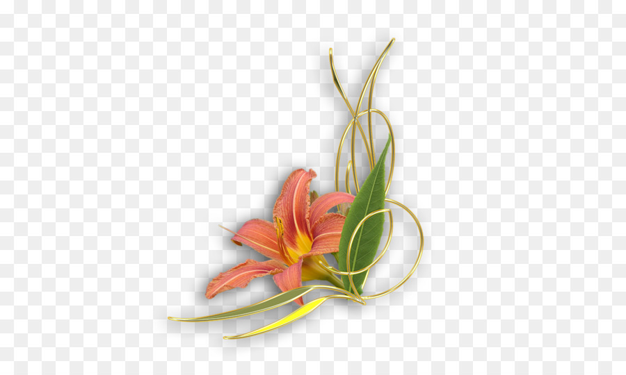 Fleur，Plante PNG