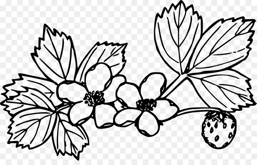 Fleurs De Fraises，Feuilles PNG