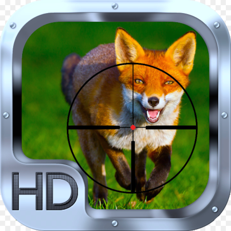 Renard Rouge，Fox PNG