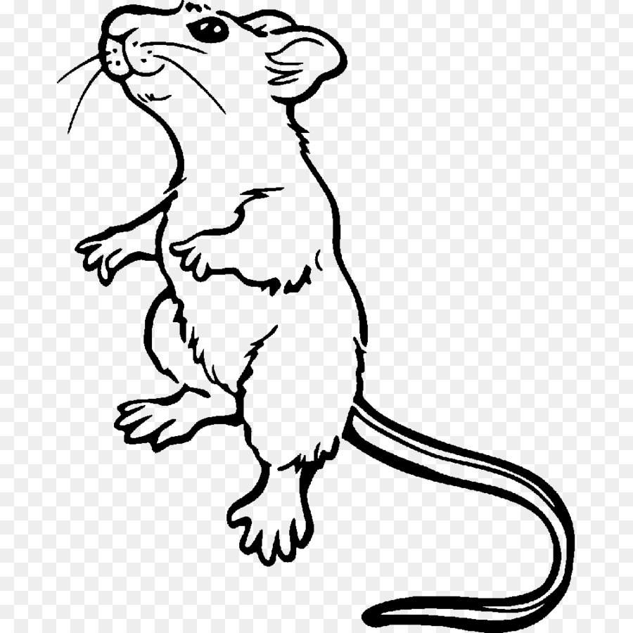 Rat Brun Souris Livre De Coloriage Png Rat Brun Souris Livre De Coloriage Transparentes Png Gratuit