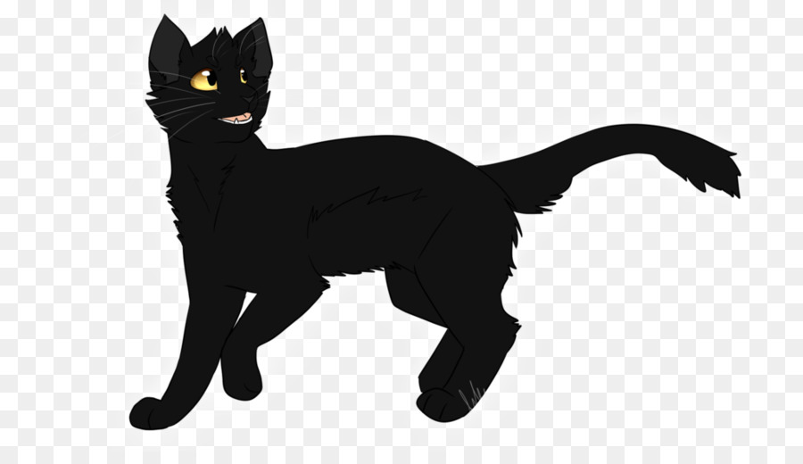 Chat Noir，Animal PNG