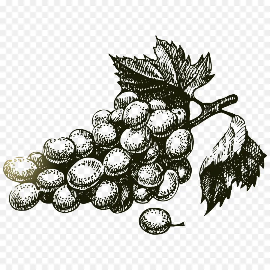 Raisins，Fruit PNG