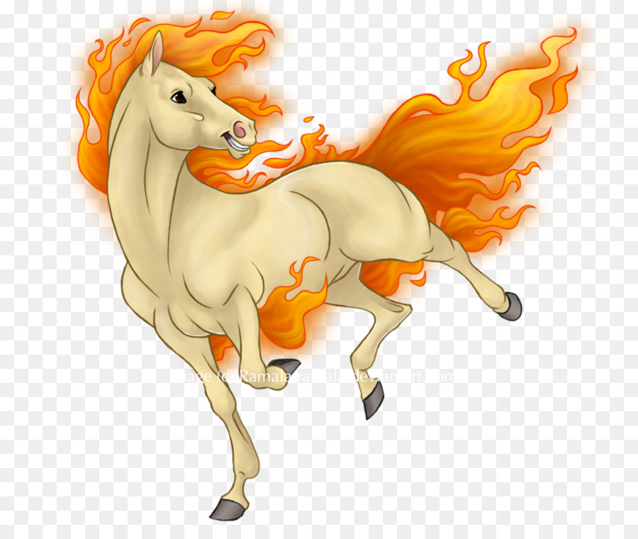 Crinière，Poney PNG