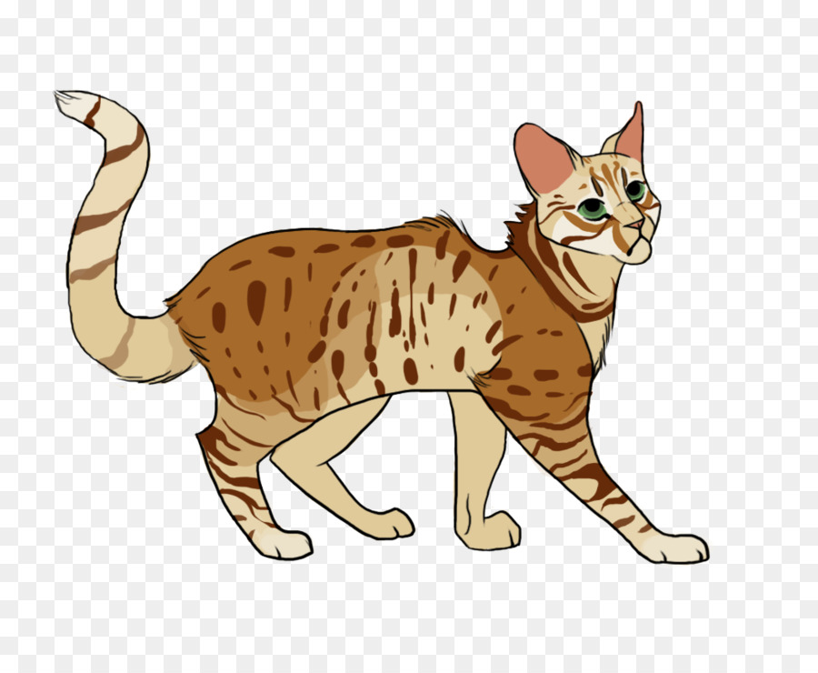 Chat，Animal De Compagnie PNG