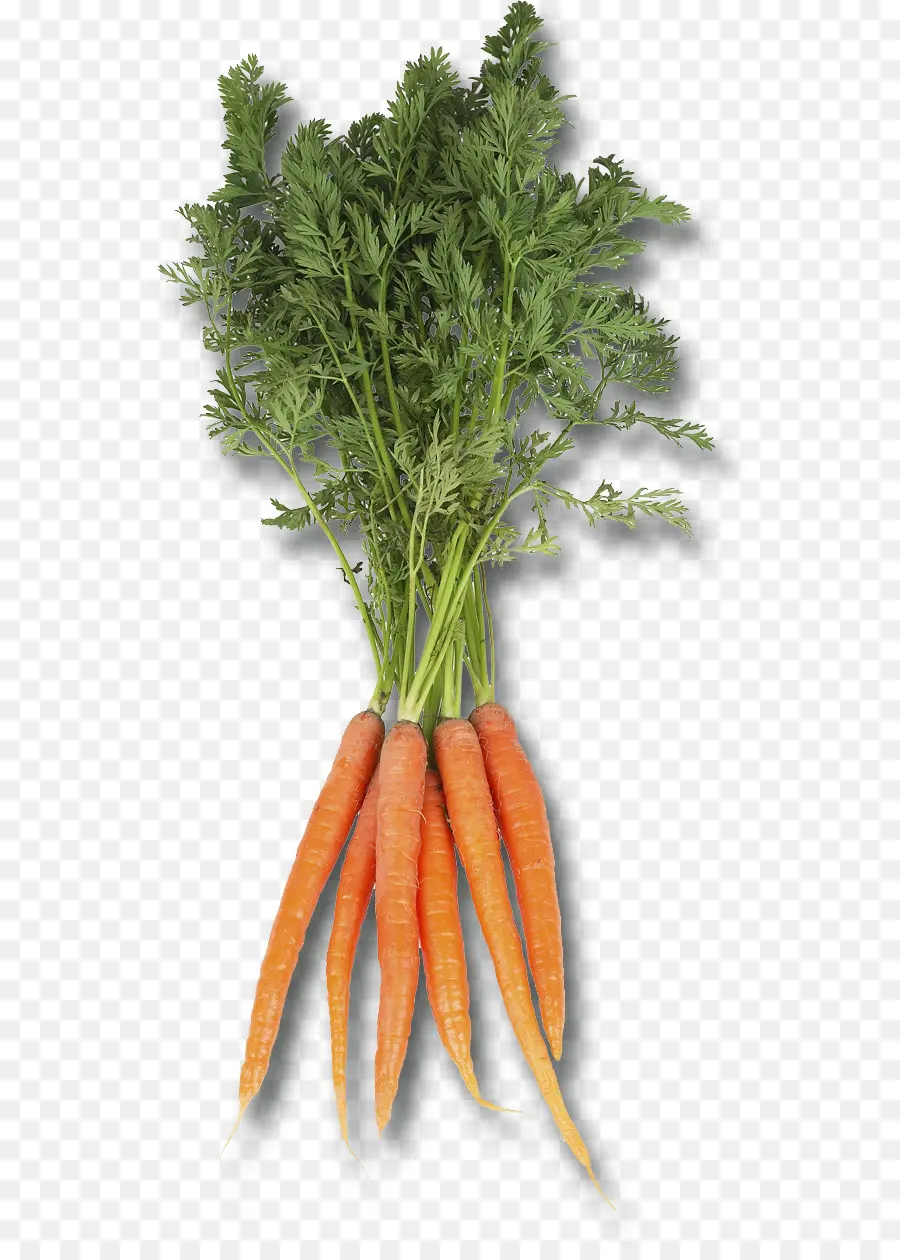 Bouquet De Carottes，Racine PNG