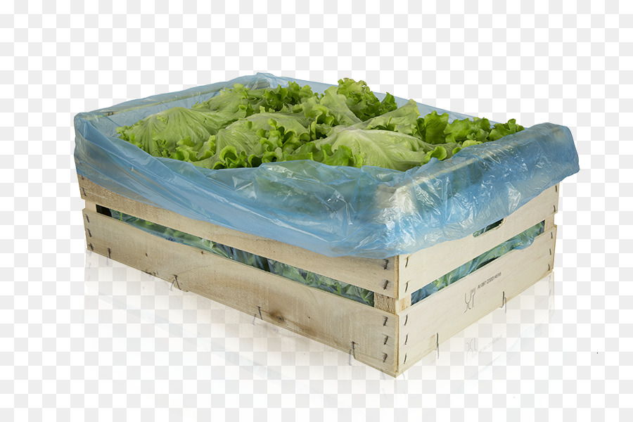 Laitue Romaine，En Plastique PNG