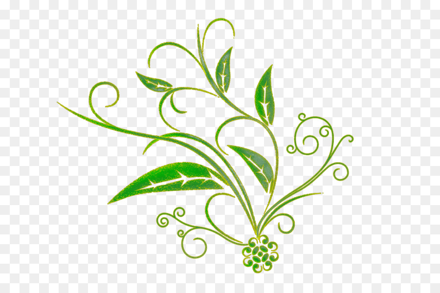 Plante Abstraite，Feuilles PNG