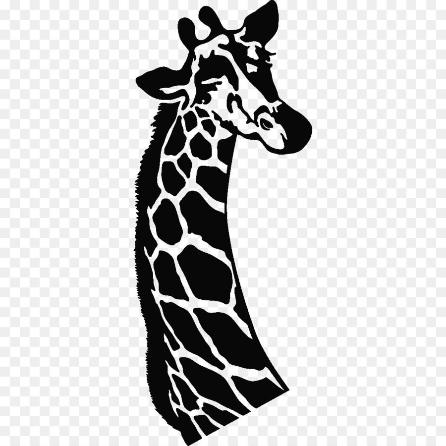Girafe，Cheval PNG