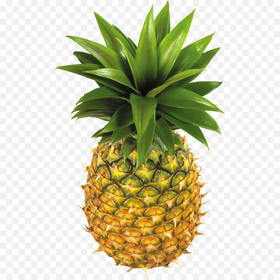 Ananas，Tropical PNG