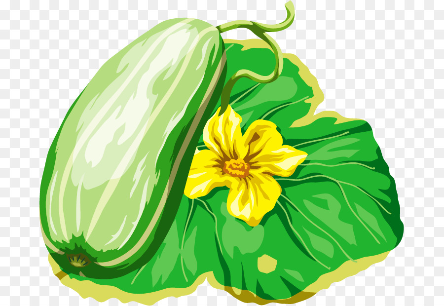 Gourde，Melon PNG