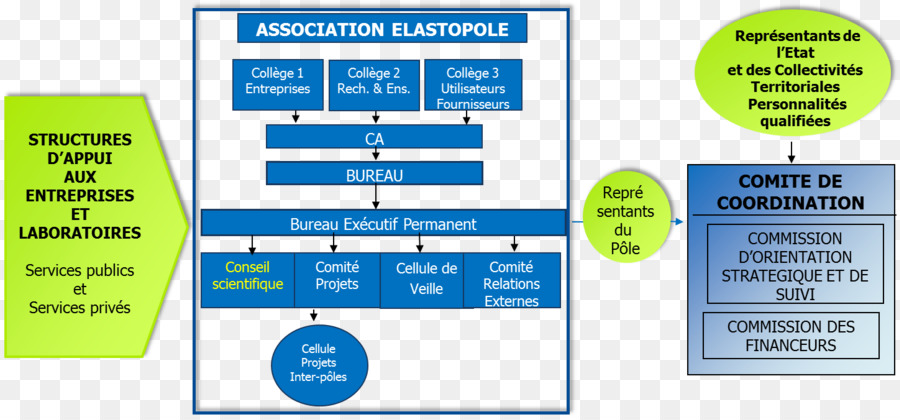 Organisation，Association Elastopole PNG
