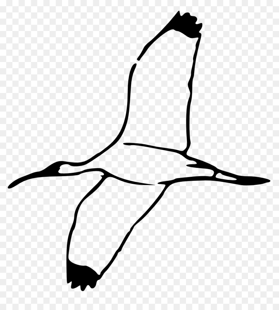 Oiseau Volant，Ailes PNG